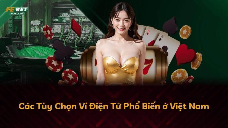 Các Tùy Chọn Ví Điện Tử Phổ Biến ở Việt Nam
