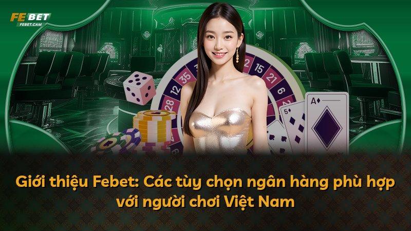 Giới thiệu Febet: Các tùy chọn ngân hàng phù hợp với người chơi Việt Nam
