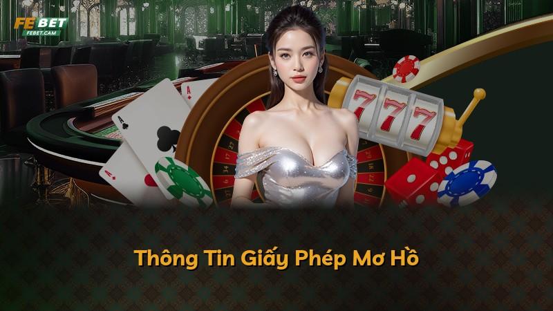 Thông Tin Giấy Phép Mơ Hồ
