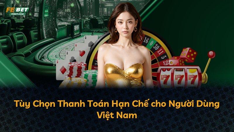 Tùy Chọn Thanh Toán Hạn Chế cho Người Dùng Việt Nam